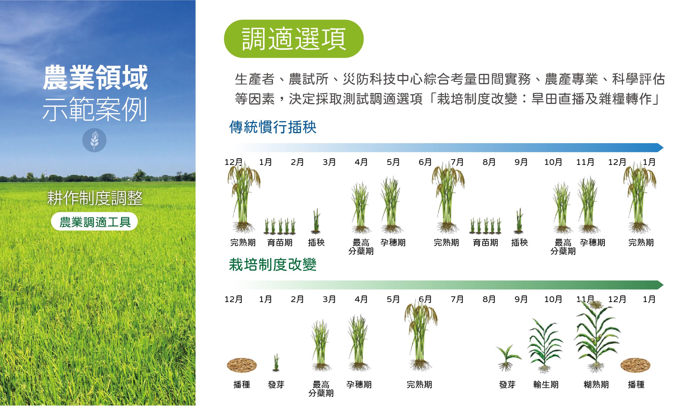 農業領域示範案例